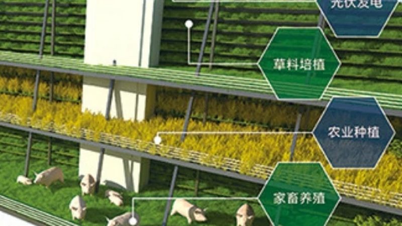 四川农产品批发供应链管理规范：构建高效流通体系**