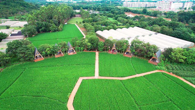 生鲜配送损耗控制设备：揭秘如何降低损耗，保障食品安全