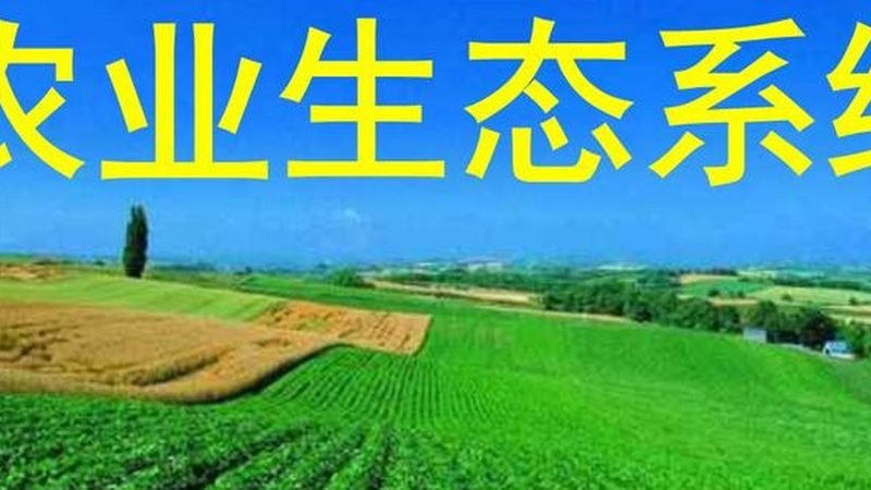 农业种植技术学习网站：如何选择优质平台助力种植效益提升
