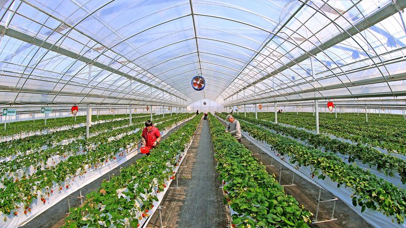种植合作社注册代理公司
