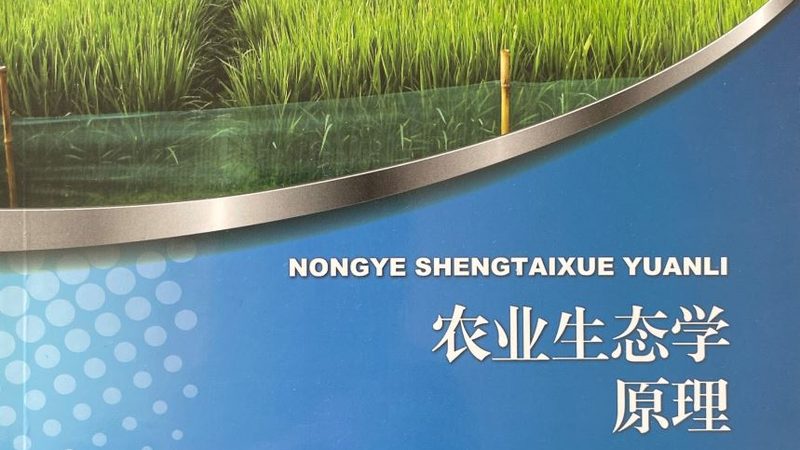 行业现状：品牌意识崛起，竞争加剧