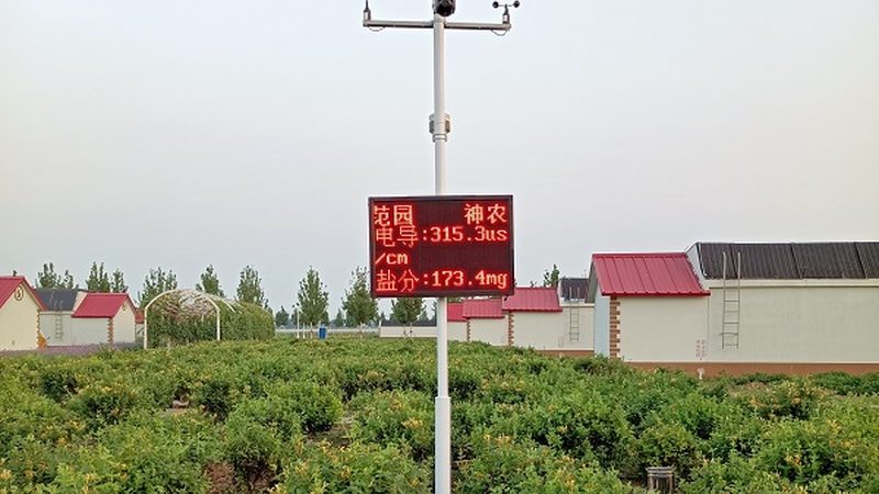 农村种植项目注意事项：规避风险，确保效益