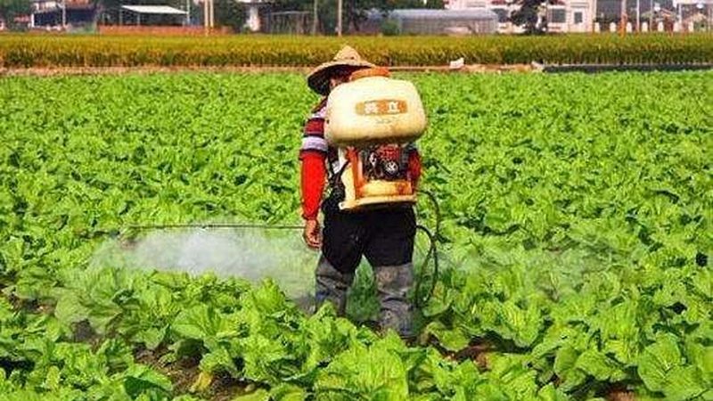合作社理事长职责与财务管理：关键职责与实操要点
