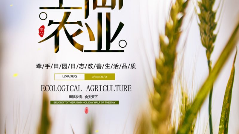 生鲜配送APP开发哪家好